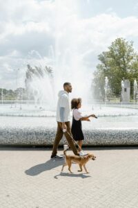 Training Tips for Families With Kids and Dogs