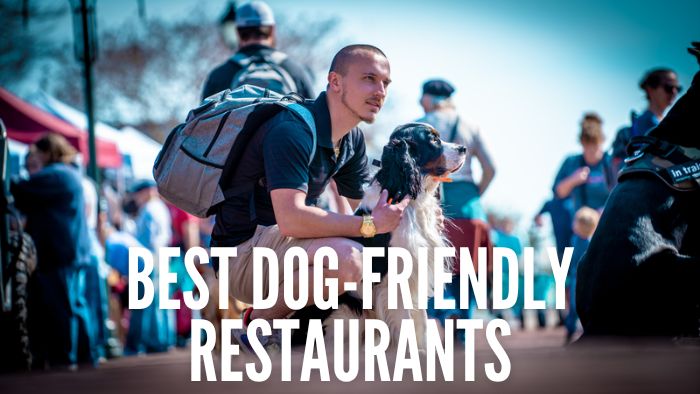 best dog friendly restaurants in cleveland