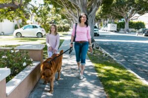 Training Tips for Families With Kids and Dogs